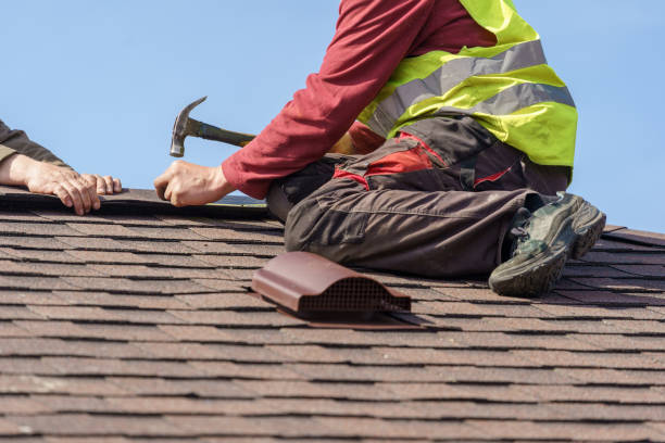 Roof Gutter Cleaning in Woodridge, IL