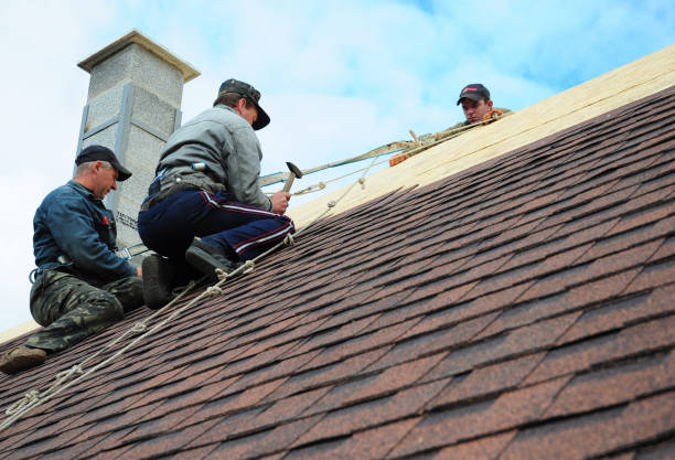 Best Best Roofing Contractors  in Woodridge, IL